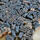 Gamla trycktyper - bild 1