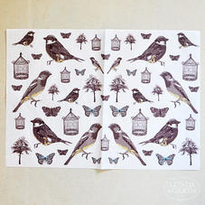 Decoupage-papper, fåglar